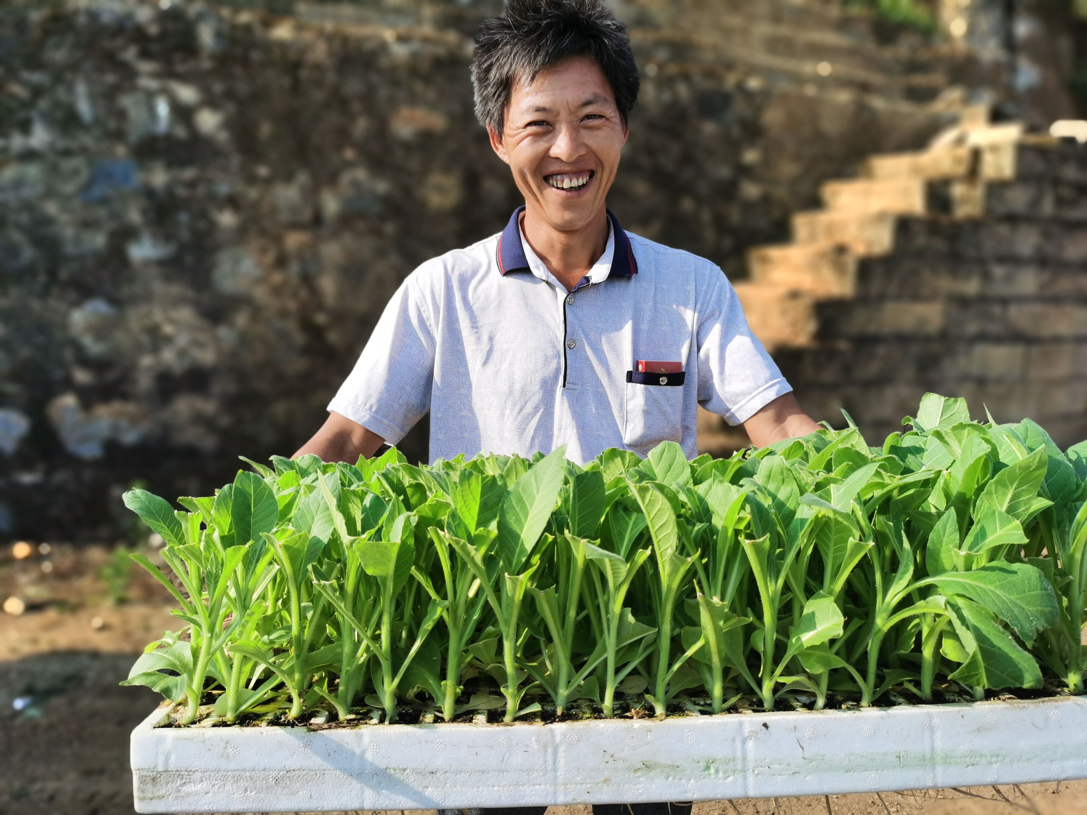 云南印象香烟_云南香烟_云南10元香烟排行榜