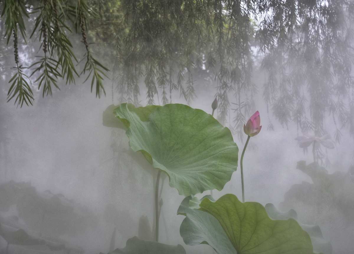 贵州茅台镇荷花酒和荷花烟_贵州上匠酒业集团茅台原浆酒_贵州酒茅台集团