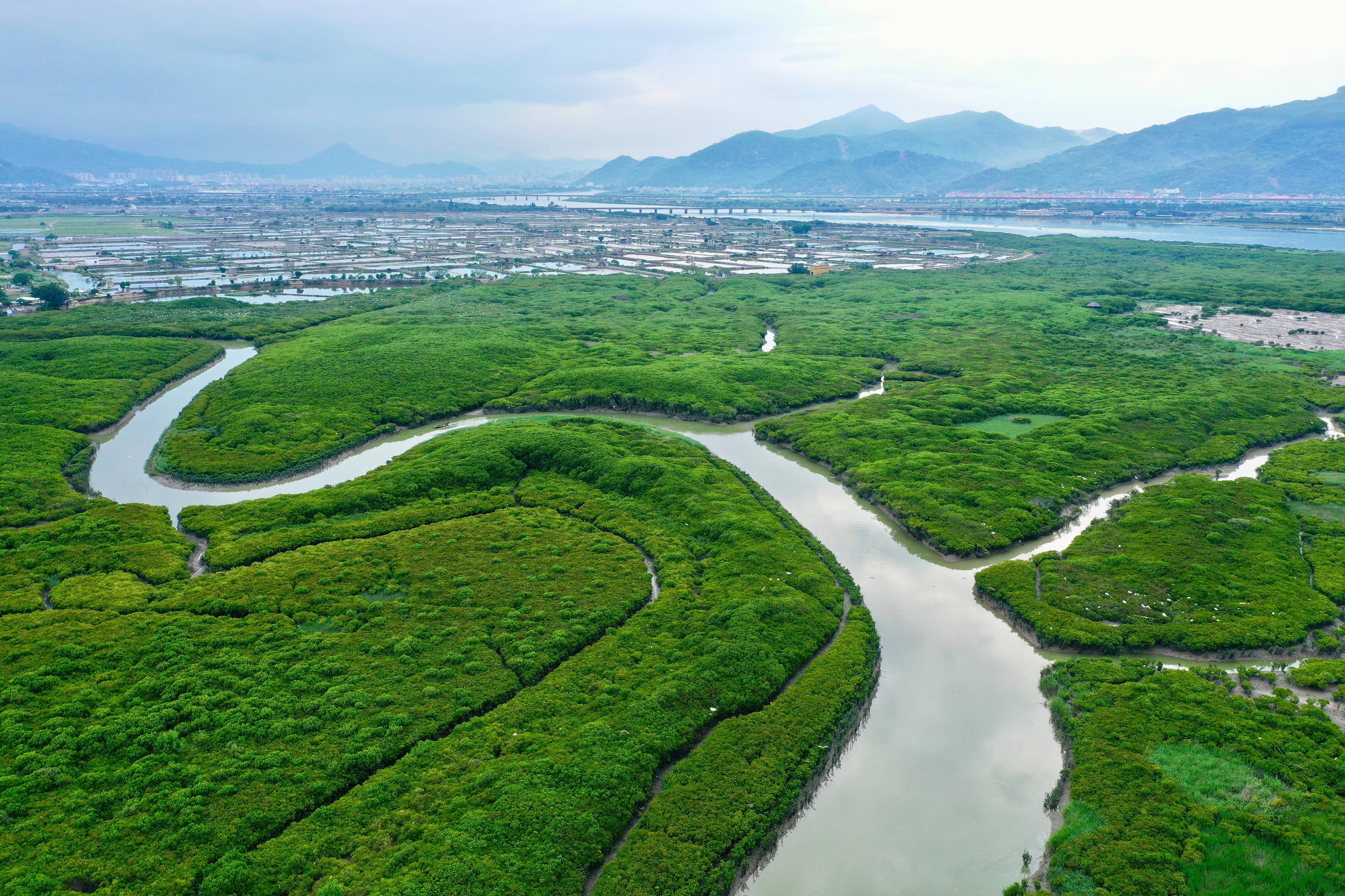 福建云霄云顶温泉图片_福建云霄_福建云霄马舖枧河村新闻