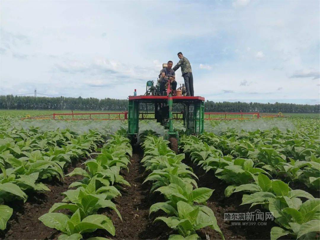 造雾主电子烟_私自造烟的村子_微信小程序城市造造造攻略