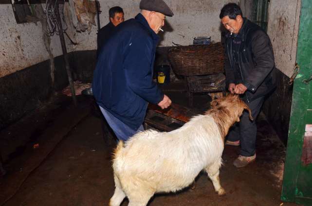 私自造烟的村子_造雾者蒸汽电子烟体验馆怎么样6_小野造物的电子烟