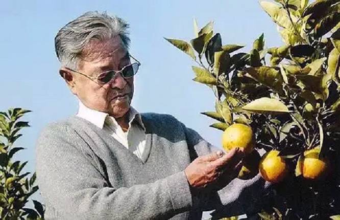 云南香烟_香烟云南的烟最好_香烟云南印象多少钱