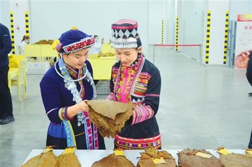 香烟云南的烟最好_云南香烟_香烟云南印象