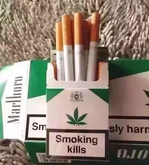 云霄香烟官网(云霄香烟官网APP)