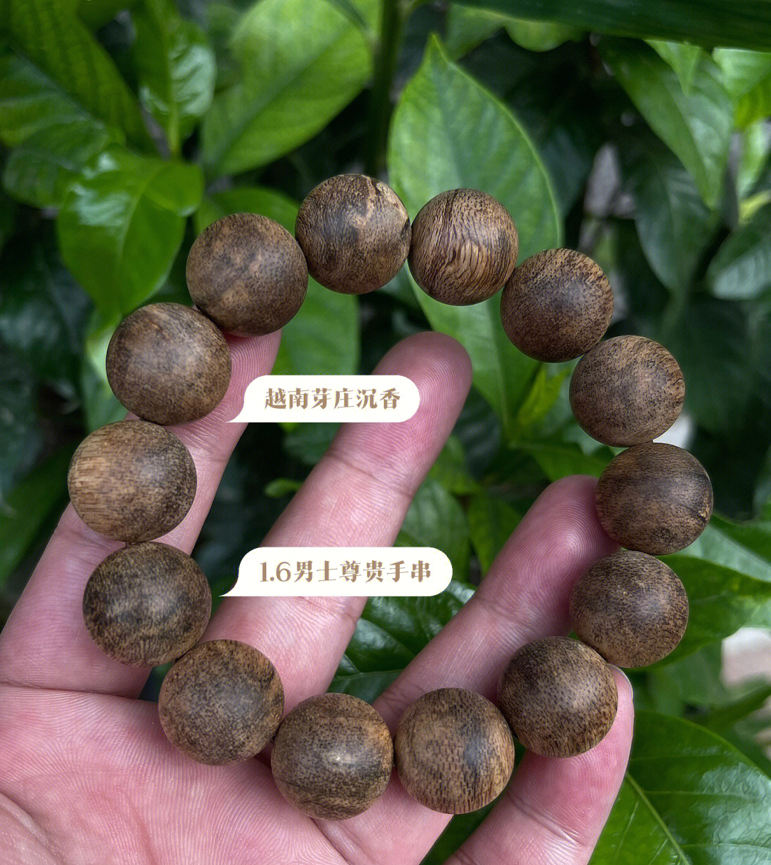 越南烟_越南烟好抽吗_越南烟为什么这么便宜