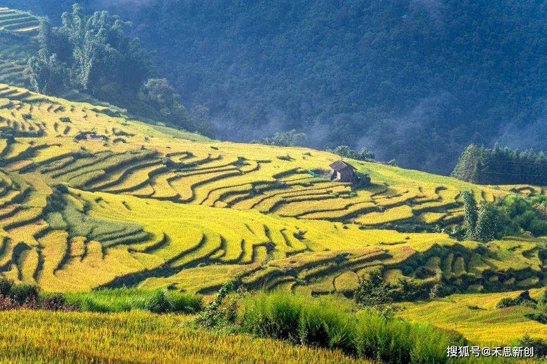 越南香烟代工厂_越南代工的烟_越南代工烟