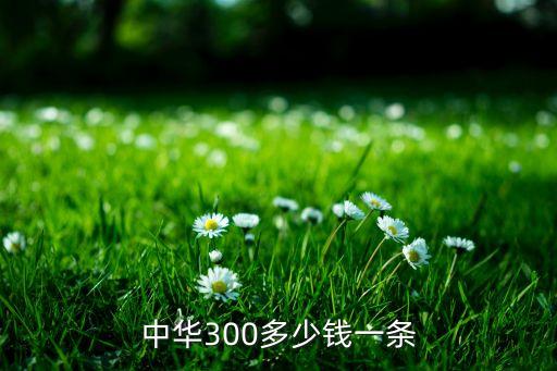 中华300多少钱一条