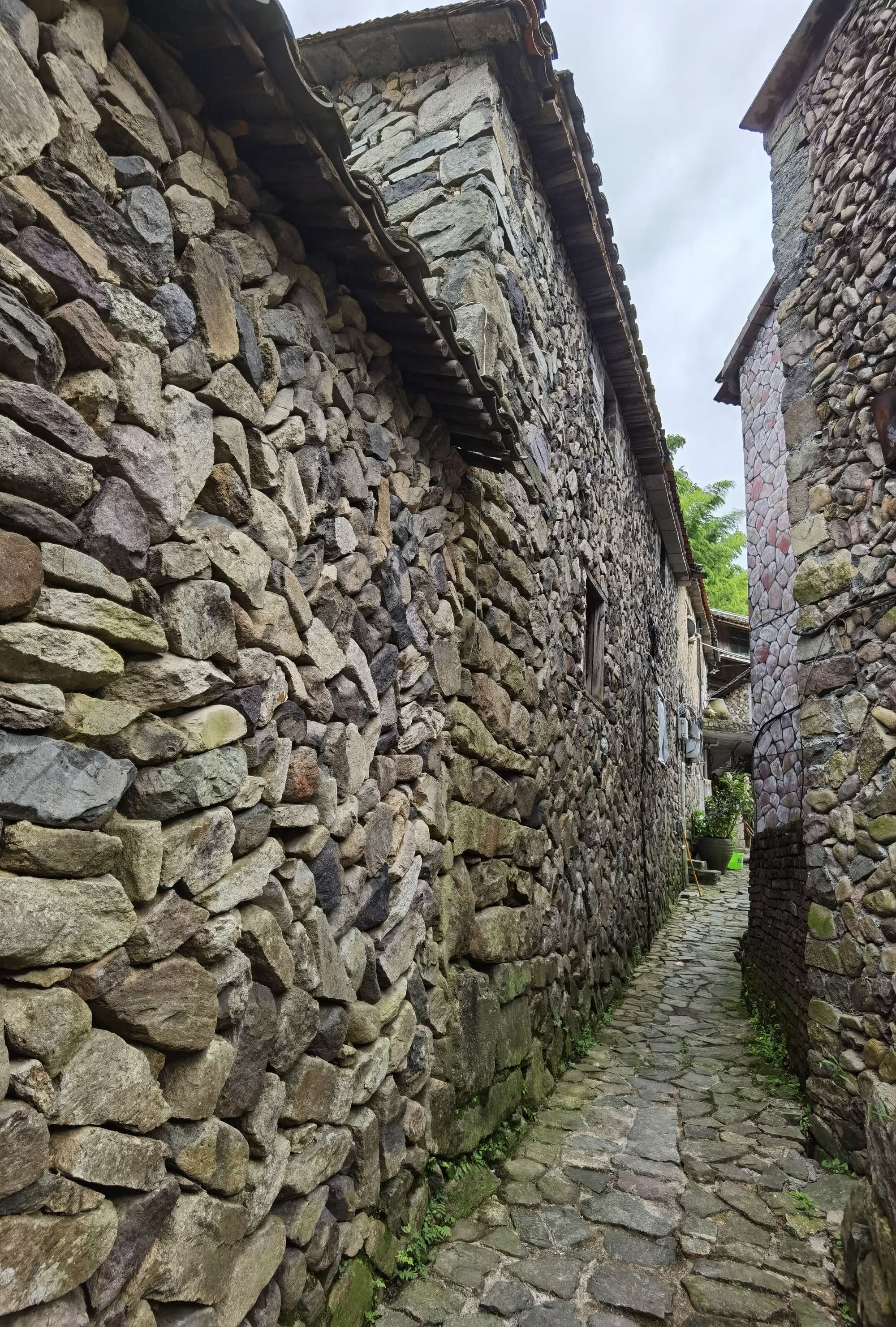 农村让烟的规矩_私自造烟的村子_农村发烟