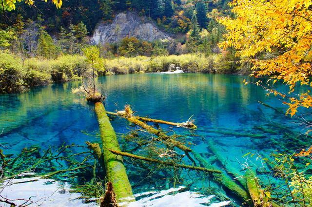 云南香烟_香烟云南流金_香烟云南印象