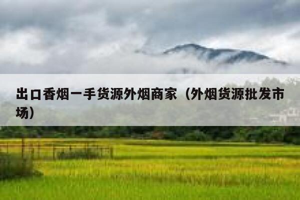 出口香烟一手货源外烟商家（外烟货源批发市场）