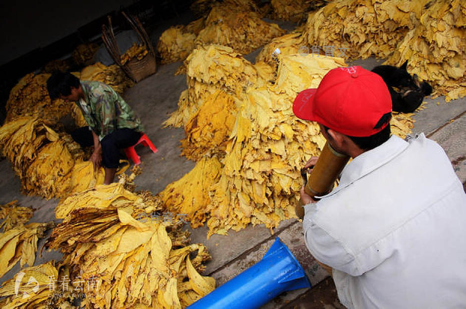 小村子造20年假烟_农村发烟_私自造烟的村子