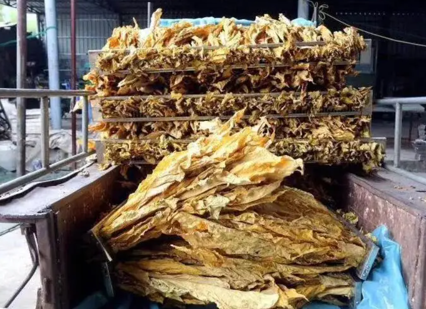 福建中华假烟事件始末_福建中华假烟事件真相_中华假烟福建