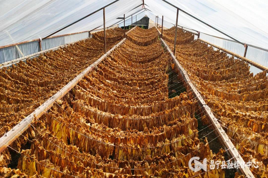 香烟云南的烟最好_云南香烟_香烟云南流金