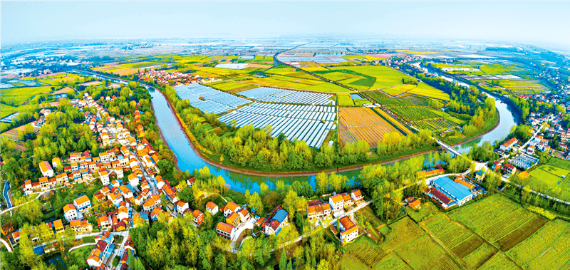 私自造烟的村子_农村发烟_农村让烟的规矩