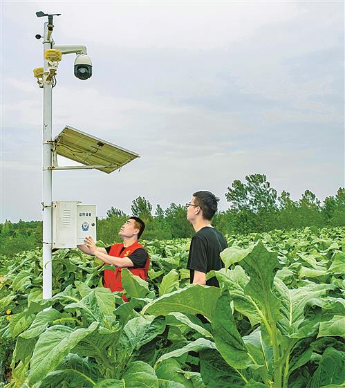 私自造烟的村子_造烟机器全套多少钱_澄城卷烟厂造什么烟