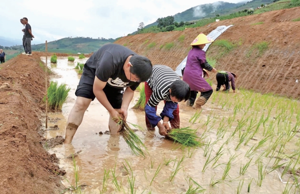 香烟云南印象_云南香烟_香烟云南流金