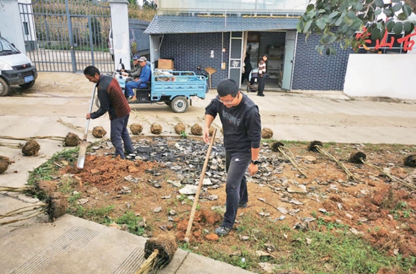 云南香烟_香烟云南流金_香烟云南印象