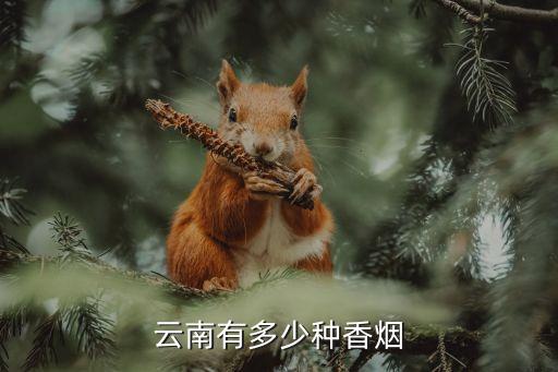 云南有多少种香烟