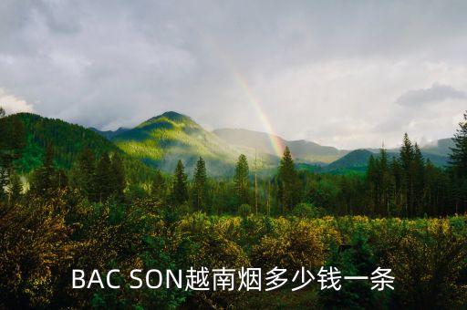 BAC SON越南烟多少钱一条