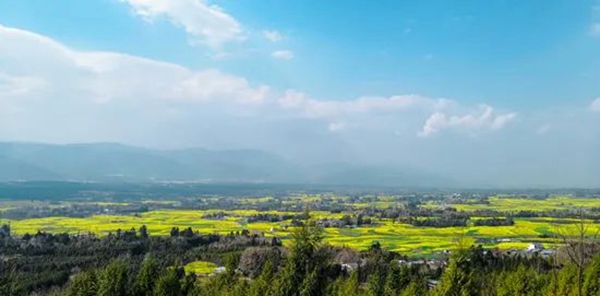 云南香烟_香烟云南印象_香烟云南的烟最好