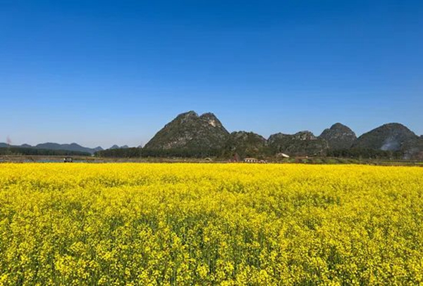 香烟云南印象_香烟云南的烟最好_云南香烟