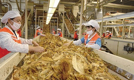 云南香烟_香烟云南的烟最好_香烟云南印象