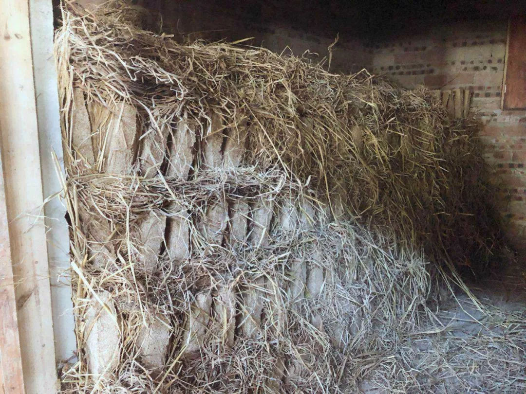 贵洲茅台镇荷花酒价格_贵州茅台荷花酒价格_贵州茅台镇荷花酒和荷花烟