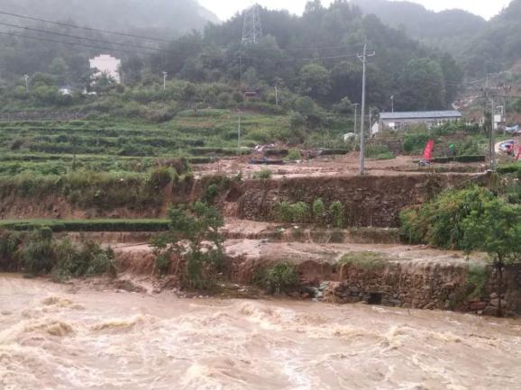 农村发烟_小村子造20年假烟_私自造烟的村子