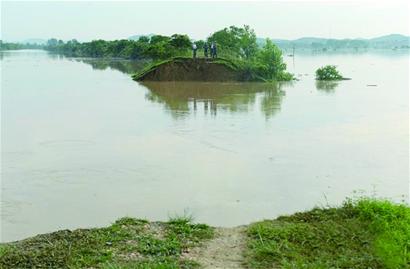小村子造20年假烟_农村发烟_私自造烟的村子