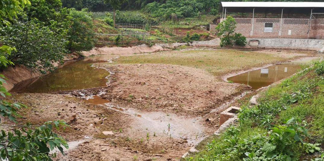 农村发烟_小村子造20年假烟_私自造烟的村子