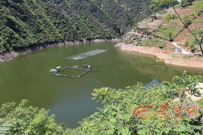 农村发烟_小村子造20年假烟_私自造烟的村子