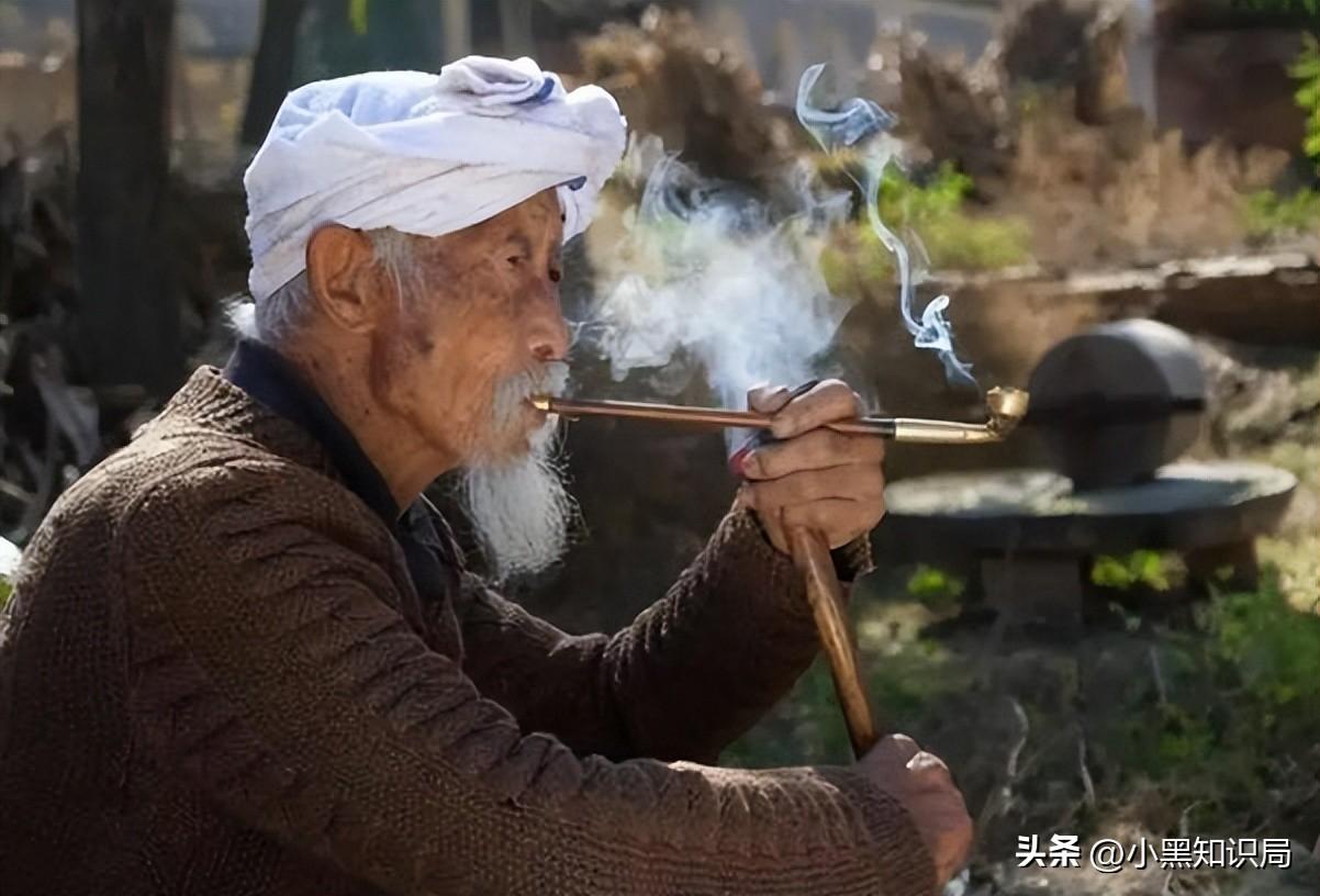 香烟国产排名前十名_香烟国产排名榜_国产香烟排名