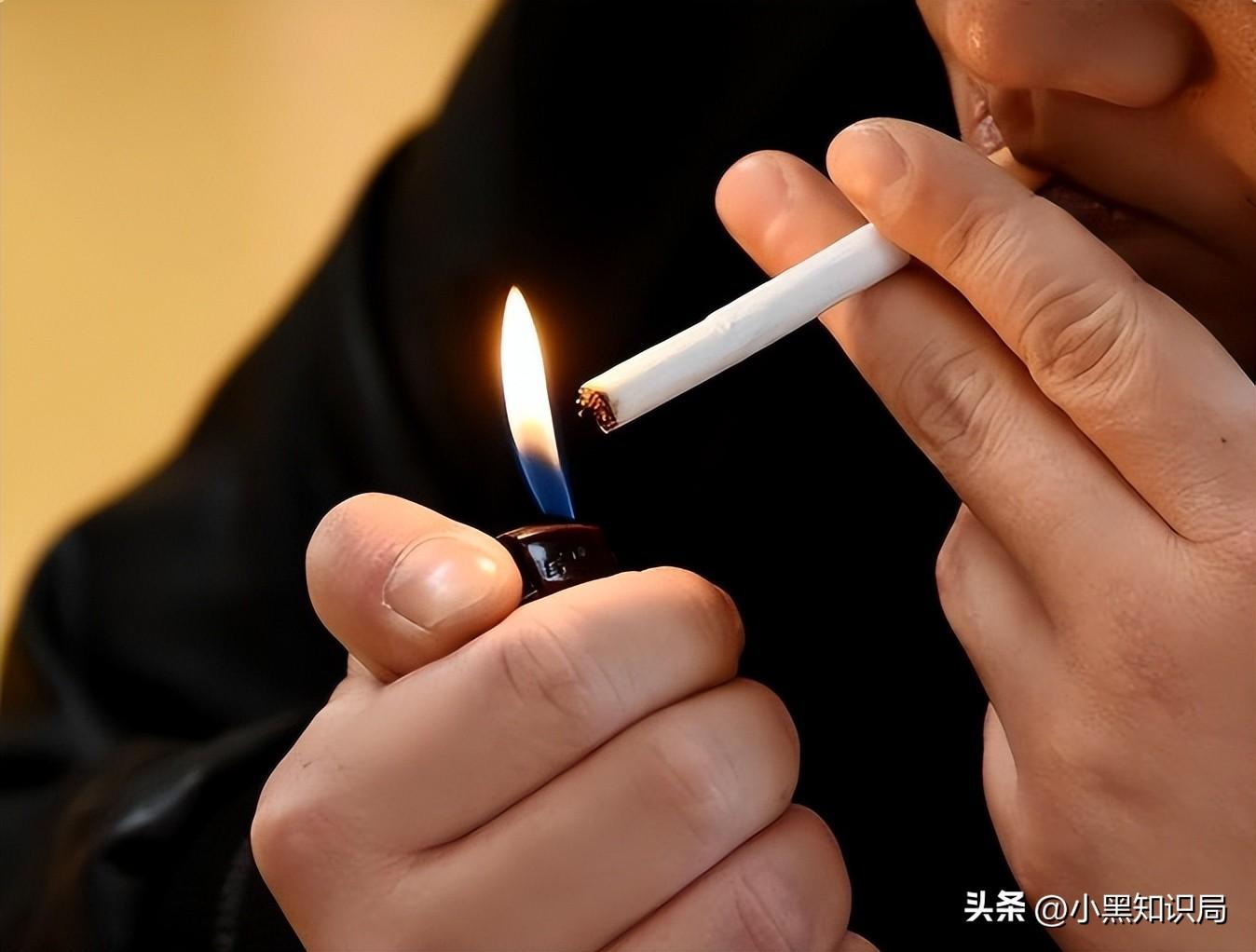 香烟国产排名前十名_香烟国产排名榜_国产香烟排名