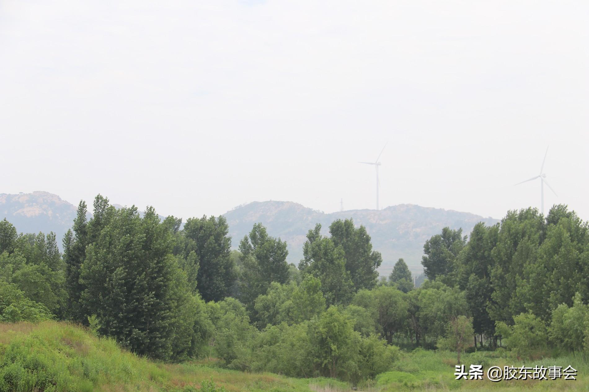 农村让烟的规矩_私自造烟的村子_小村子造20年假烟