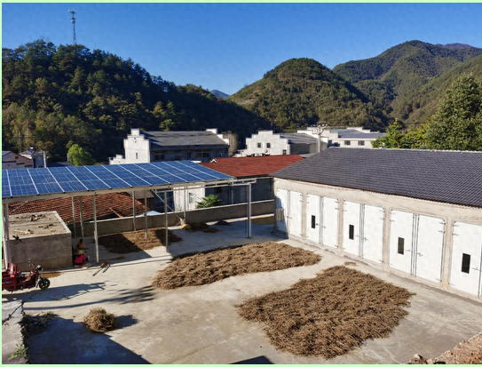 农村让烟的规矩_农村发烟_私自造烟的村子