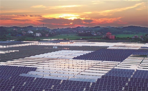 农村让烟的规矩_私自造烟的村子_农村发烟