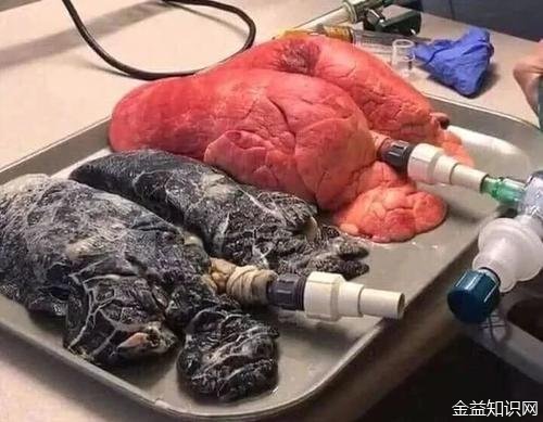 越南烟为什么这么便宜_越南烟是真的假的_越南烟