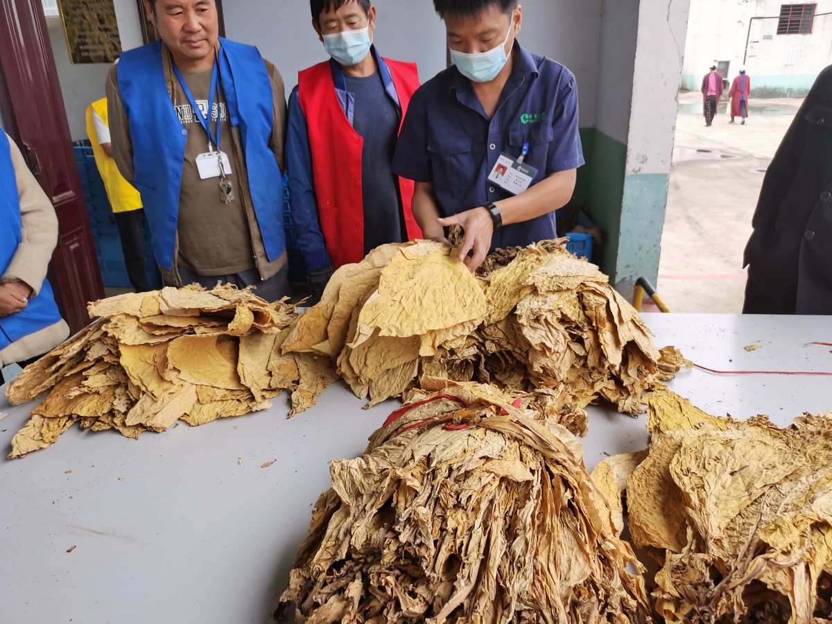 香烟云南的烟最好_云南香烟_香烟云南流金