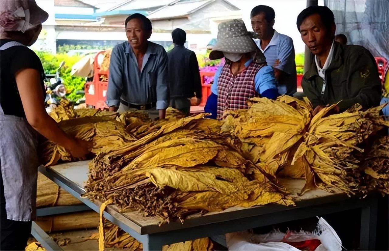 云霄卷烟厂生产什么牌_现在云霄卷烟厂生产正品烟了吗_云霄香烟卷烟厂