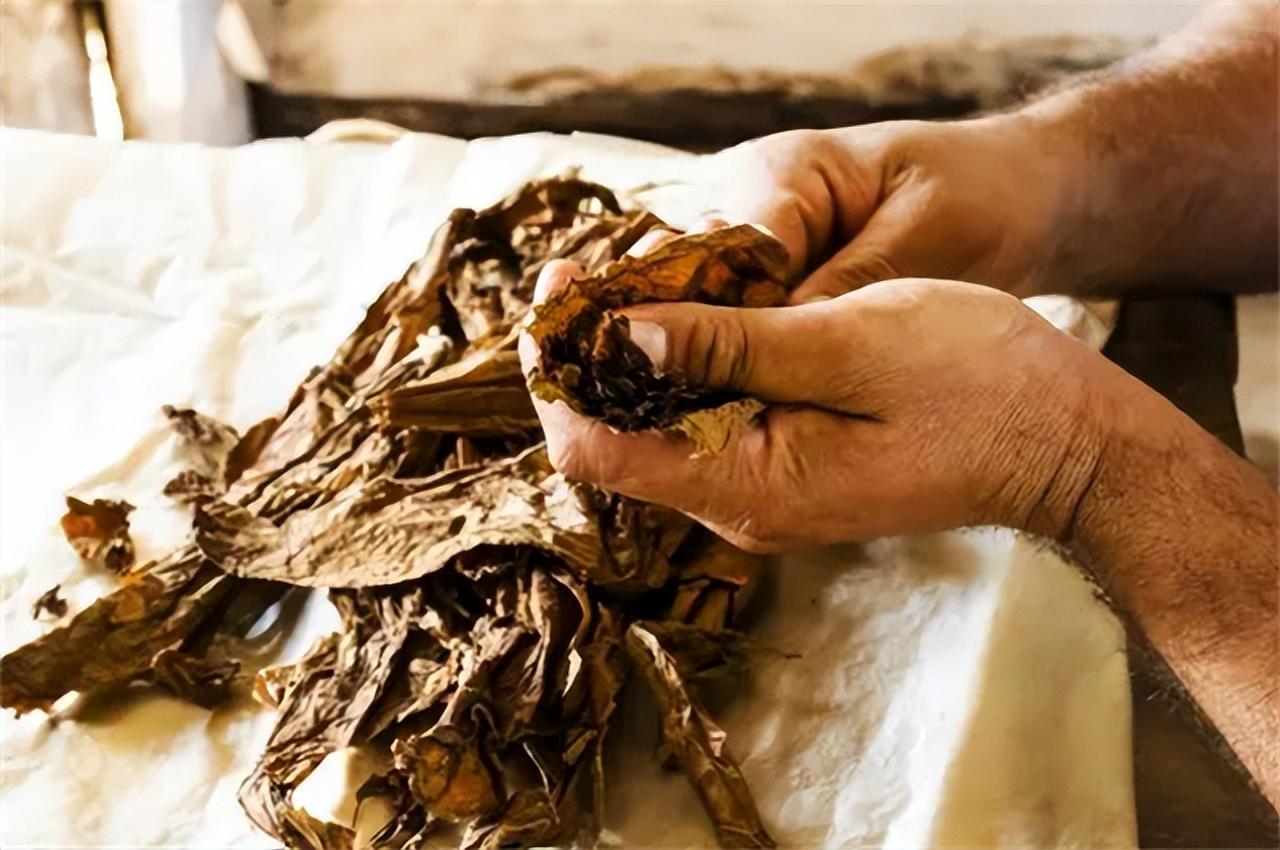 云霄香烟卷烟厂_现在云霄卷烟厂生产正品烟了吗_云霄卷烟厂生产什么牌