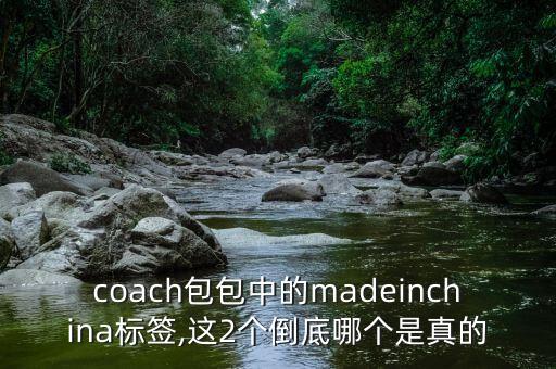 coach包包中的madeinchina标签,这2个倒底哪个是真的