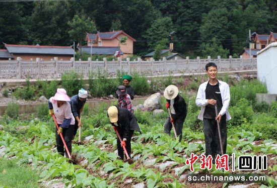  吉各贵日（右一）和家人一起给烟田除草。