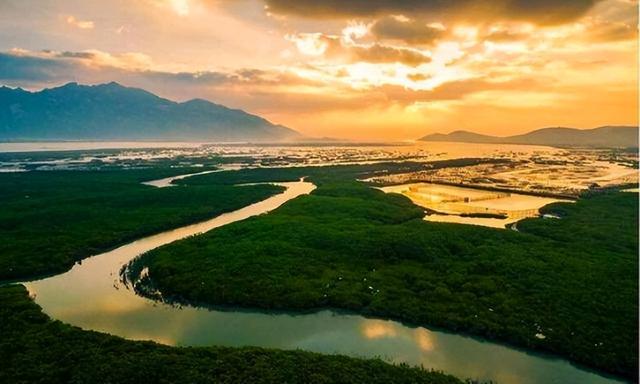 福建省漳州市云霄县假烟_云霄县国家假烟案判决_云霄县假烟国家不管吗