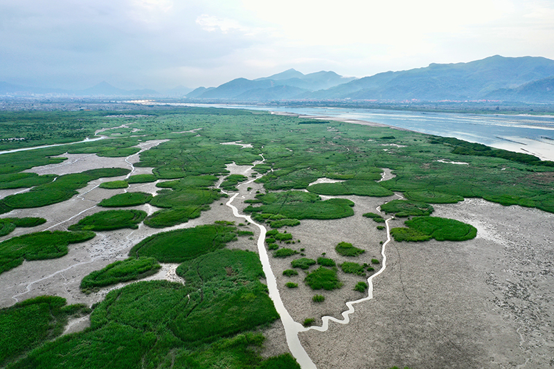 福建云霄香烟_福建云霄_福建云霄假香烟