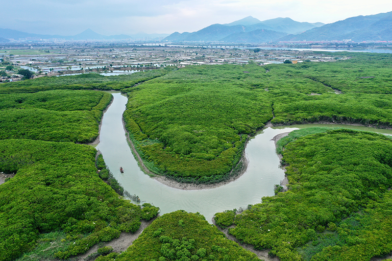 福建云霄香烟_福建云霄假香烟_福建云霄