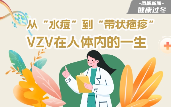 图解416:从“水痘”到“带状疱疹” VZV在人体内的一生