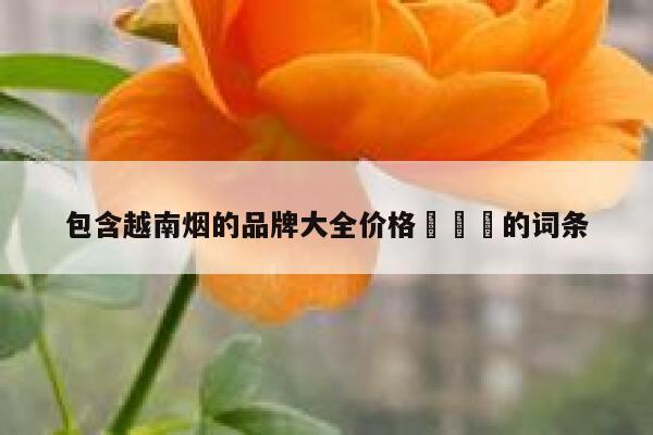 包含越南烟的品牌大全价格 的词条 第1张