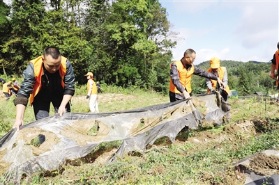 私自造烟的村子_农村发烟_小村子造20年假烟