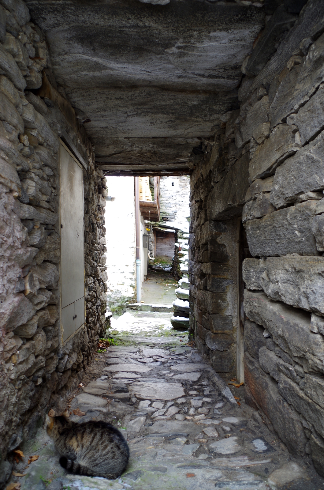 农村发烟_私自造烟的村子_农村让烟的规矩