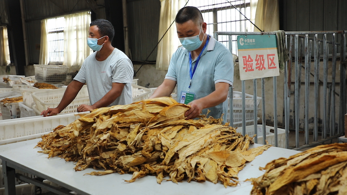 香烟云南印象多少钱_云南香烟_香烟云南流金